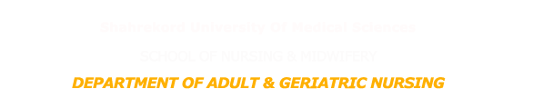 Department of Adult Geriatric Nursing